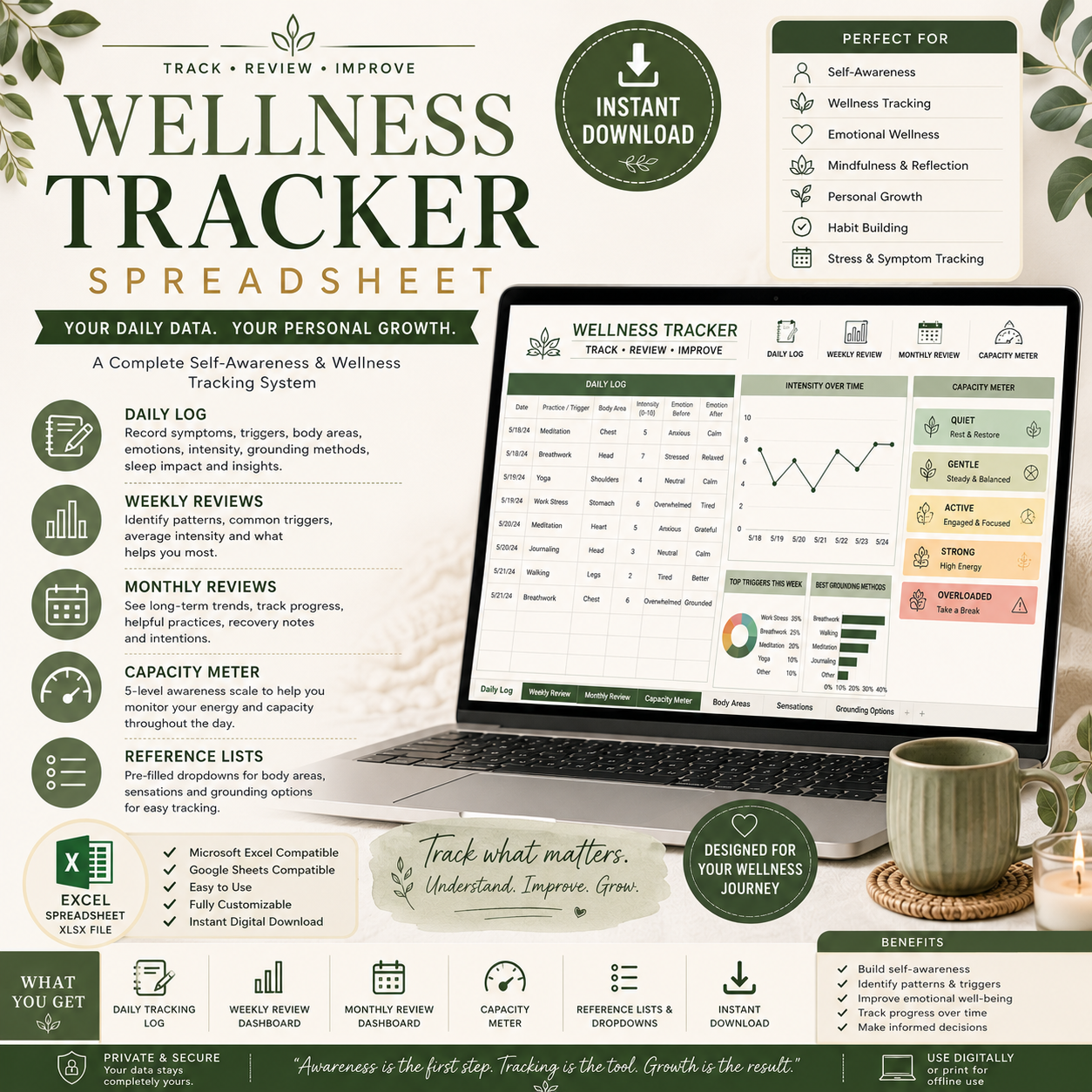 Wellness Tracker spreadsheet benefits preview